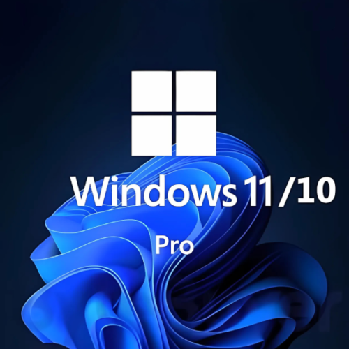 Windows 11/10 Professional Key