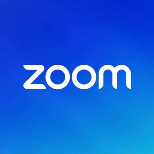 Zoom Pro (28 Days Account)